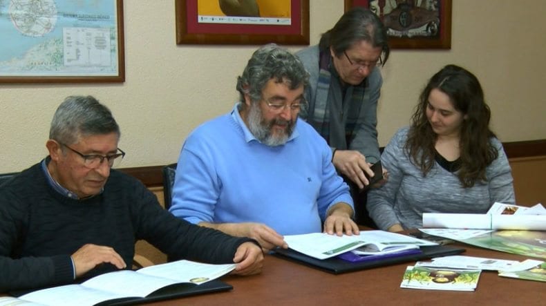 profesores-educacion-siglo-XXI-jumilla