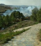 Incendio en las proximidades del Humedal del Charco del Zorro en Jumilla