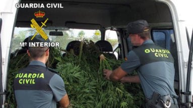 guardia-civil-incauta-marihuana